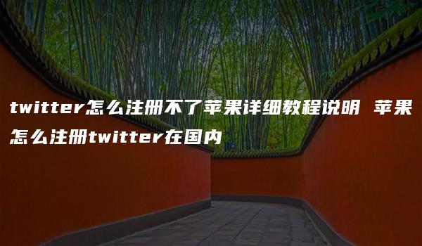 twitter怎么注册不了苹果详细教程说明 苹果怎么注册twitter在国内