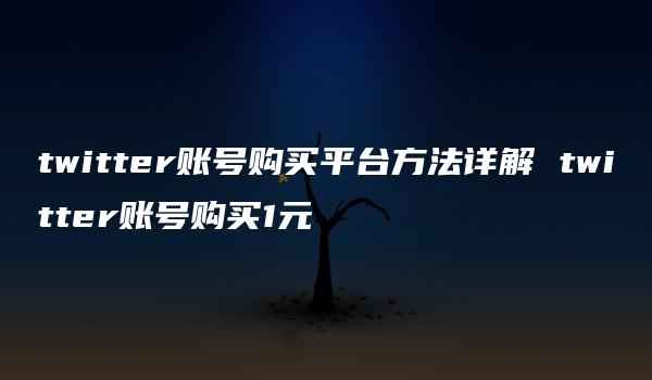 twitter账号购买平台方法详解 twitter账号购买1元