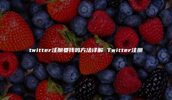 twitter注册要钱吗方法详解 Twitter注册