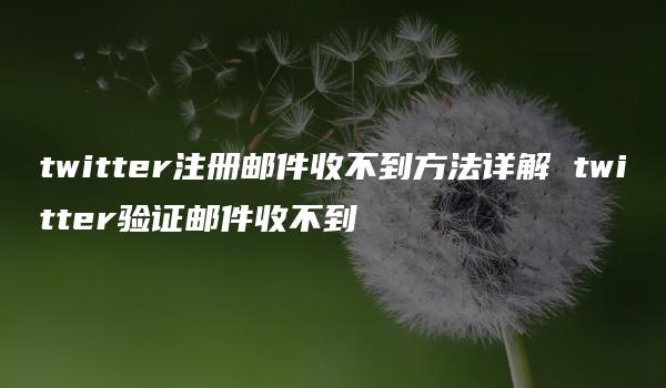 twitter注册邮件收不到方法详解 twitter验证邮件收不到