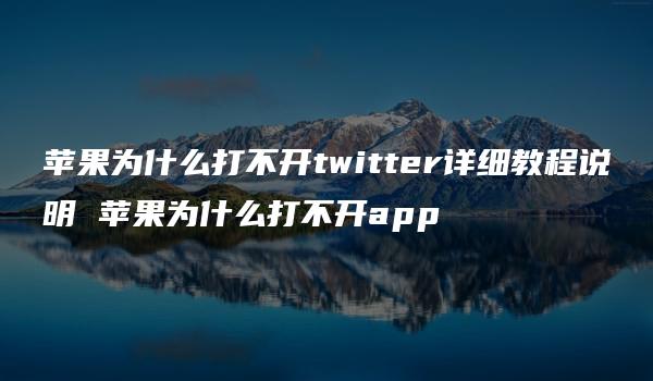 苹果为什么打不开twitter详细教程说明 苹果为什么打不开app