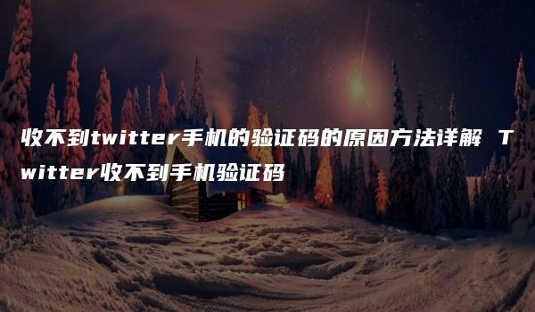 收不到twitter手机的验证码的原因方法详解 Twitter收不到手机验证码