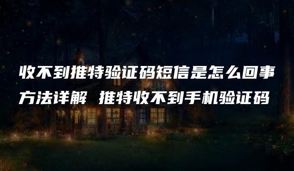 收不到推特验证码短信是怎么回事方法详解 推特收不到手机验证码