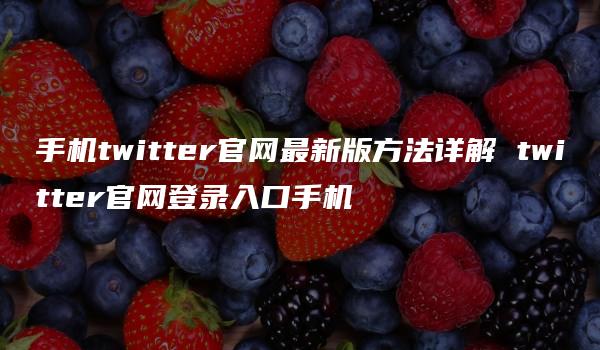 手机twitter官网最新版方法详解 twitter官网登录入口手机