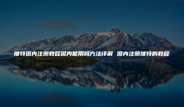 推特国内注册教程国内能用吗方法详解 国内注册推特的教程