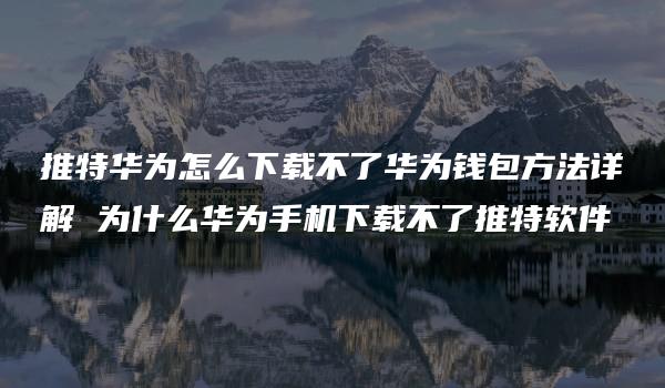 推特华为怎么下载不了华为钱包方法详解 为什么华为手机下载不了推特软件