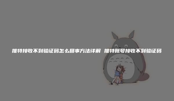 推特接收不到验证码怎么回事方法详解 推特账号接收不到验证码