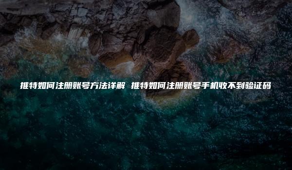 推特如何注册账号方法详解 推特如何注册账号手机收不到验证码