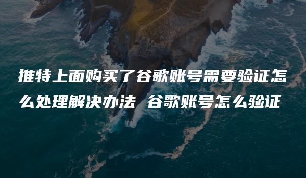 推特上面购买了谷歌账号需要验证怎么处理解决办法 谷歌账号怎么验证