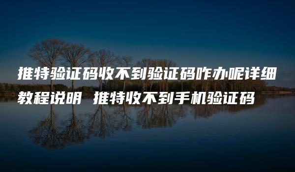 推特验证码收不到验证码咋办呢详细教程说明 推特收不到手机验证码