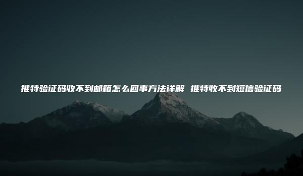 推特验证码收不到邮箱怎么回事方法详解 推特收不到短信验证码