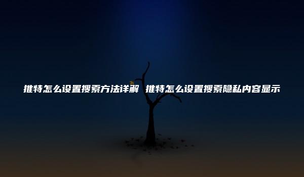 推特怎么设置搜索方法详解 推特怎么设置搜索隐私内容显示