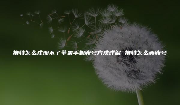 推特怎么注册不了苹果手机账号方法详解 推特怎么弄账号