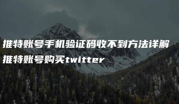 推特账号手机验证码收不到方法详解 推特账号购买twitter