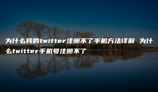 为什么我的twitter注册不了手机方法详解 为什么twitter手机号注册不了