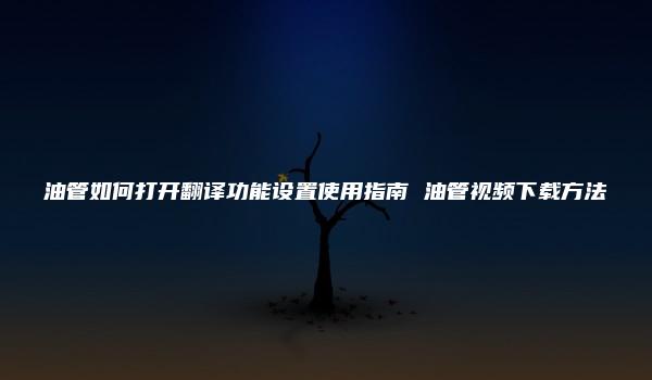 油管如何打开翻译功能设置使用指南 油管视频下载方法