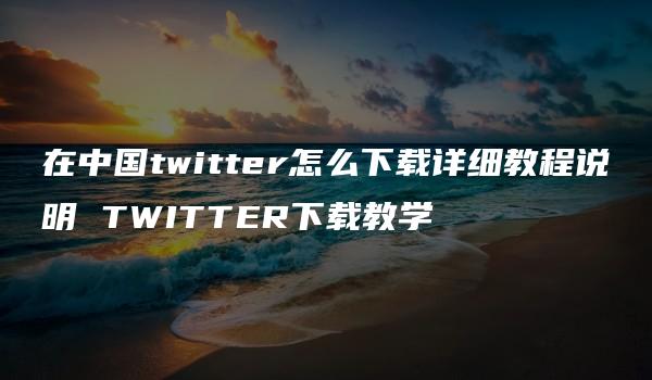 在中国twitter怎么下载详细教程说明 TWITTER下载教学