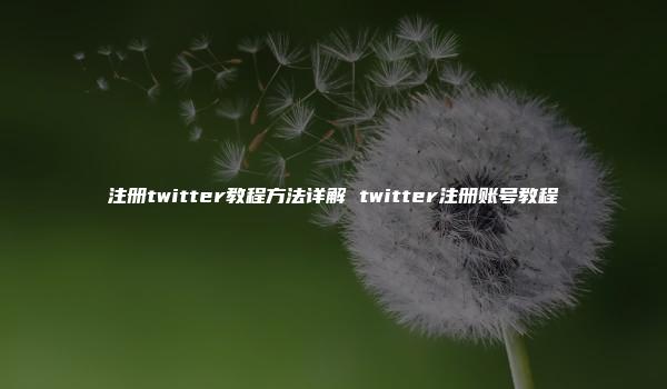 注册twitter教程方法详解 twitter注册账号教程