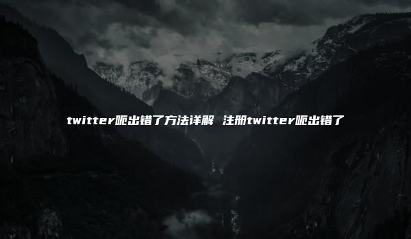 twitter呃出错了方法详解 注册twitter呃出错了