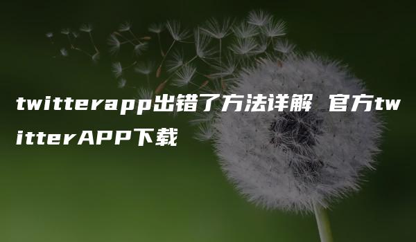 twitterapp出错了方法详解 官方twitterAPP下载