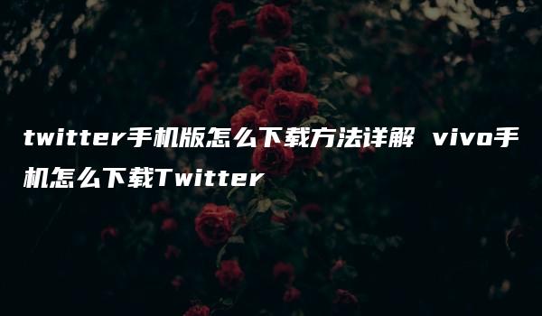 twitter手机版怎么下载方法详解 vivo手机怎么下载Twitter