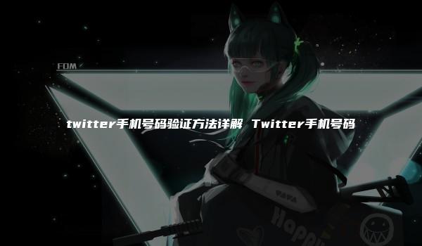 twitter手机号码验证方法详解 Twitter手机号码