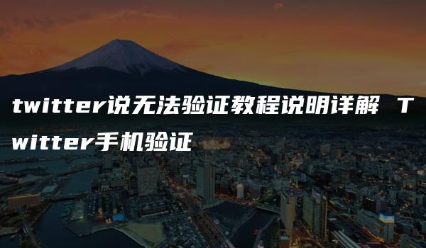 twitter说无法验证教程说明详解 Twitter手机验证