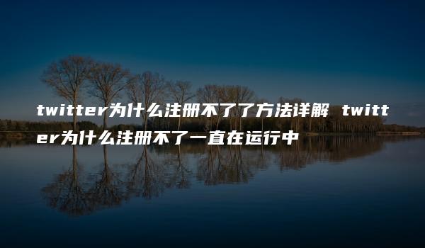 twitter为什么注册不了了方法详解 twitter为什么注册不了一直在运行中