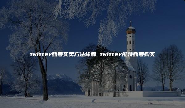 twitter账号买卖方法详解 twitter推特账号购买