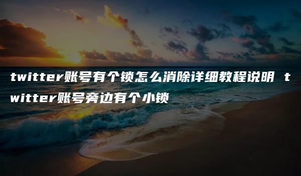 twitter账号有个锁怎么消除详细教程说明 twitter账号旁边有个小锁