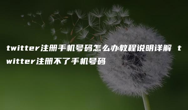 twitter注册手机号码怎么办教程说明详解 twitter注册不了手机号码