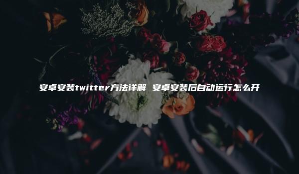 安卓安装twitter方法详解 安卓安装后自动运行怎么开