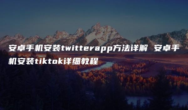 安卓手机安装twitterapp方法详解 安卓手机安装tiktok详细教程