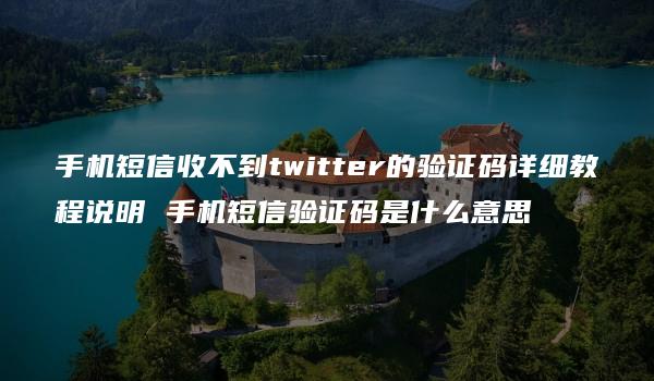 手机短信收不到twitter的验证码详细教程说明 手机短信验证码是什么意思