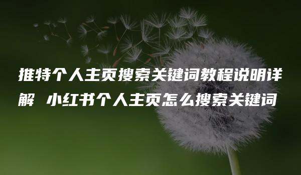 推特个人主页搜索关键词教程说明详解 小红书个人主页怎么搜索关键词