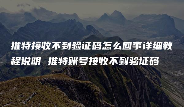 推特接收不到验证码怎么回事详细教程说明 推特账号接收不到验证码