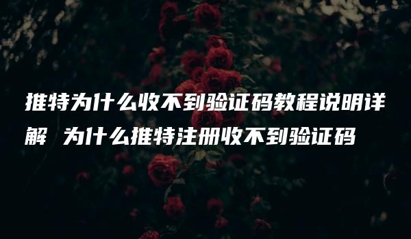 推特为什么收不到验证码教程说明详解 为什么推特注册收不到验证码