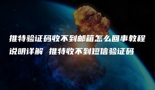 推特验证码收不到邮箱怎么回事教程说明详解 推特收不到短信验证码