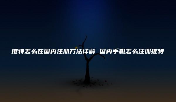 推特怎么在国内注册方法详解 国内手机怎么注册推特