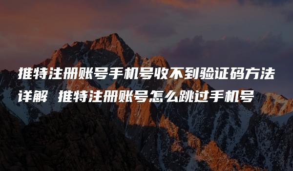 推特注册账号手机号收不到验证码方法详解 推特注册账号怎么跳过手机号