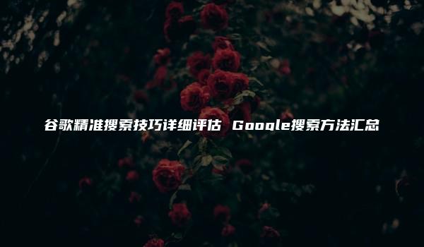 谷歌精准搜索技巧详细评估 Google搜索方法汇总