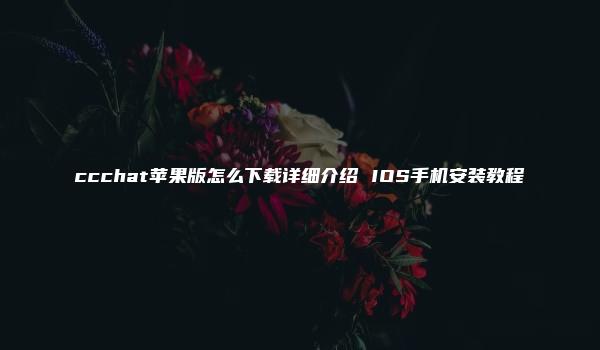 ccchat苹果版怎么下载详细介绍 IOS手机安装教程