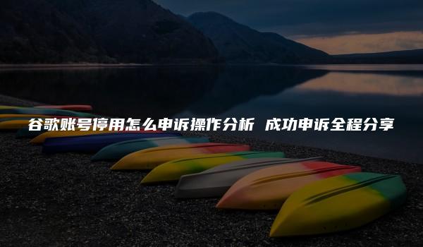 谷歌账号停用怎么申诉操作分析 成功申诉全程分享