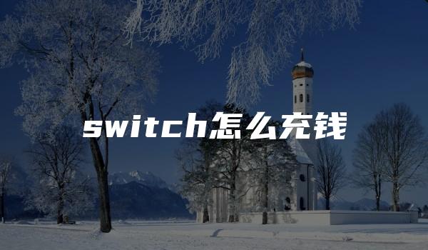 switch怎么充钱