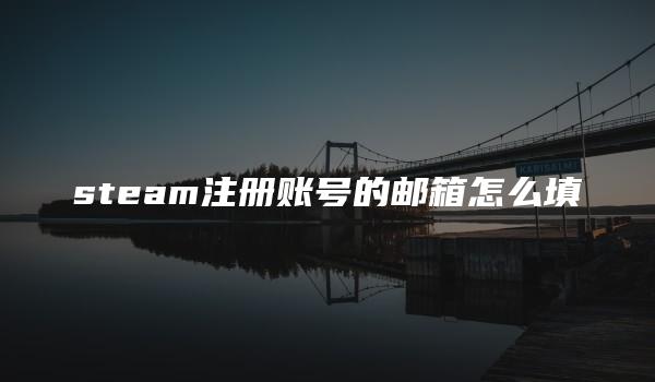 steam注册账号的邮箱怎么填