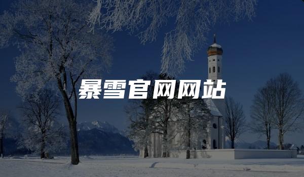 暴雪官网网站