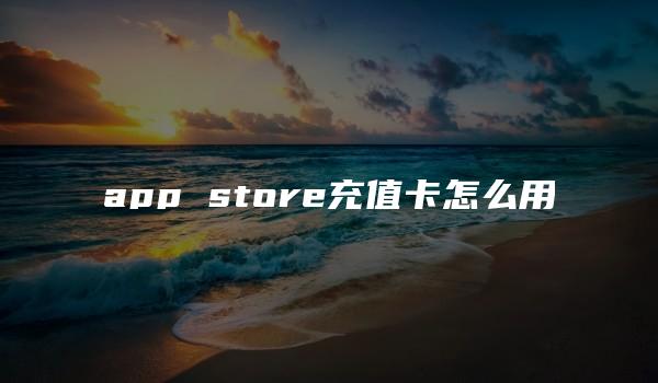 app store充值卡怎么用