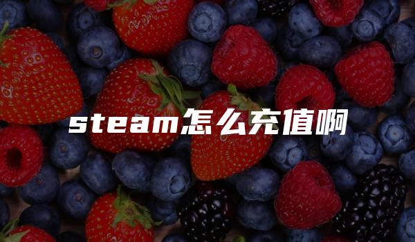 steam怎么充值啊