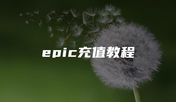 epic充值教程