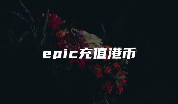 epic充值港币